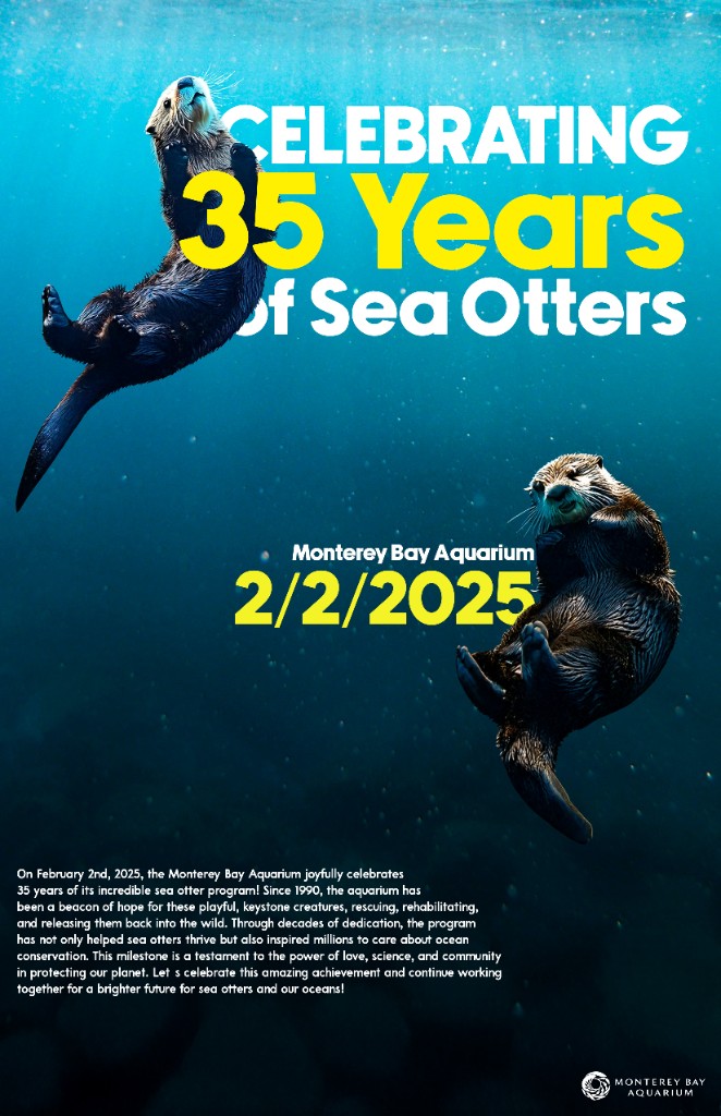 Poster — Monterey Bay Aquarium, 35 years of sea otters